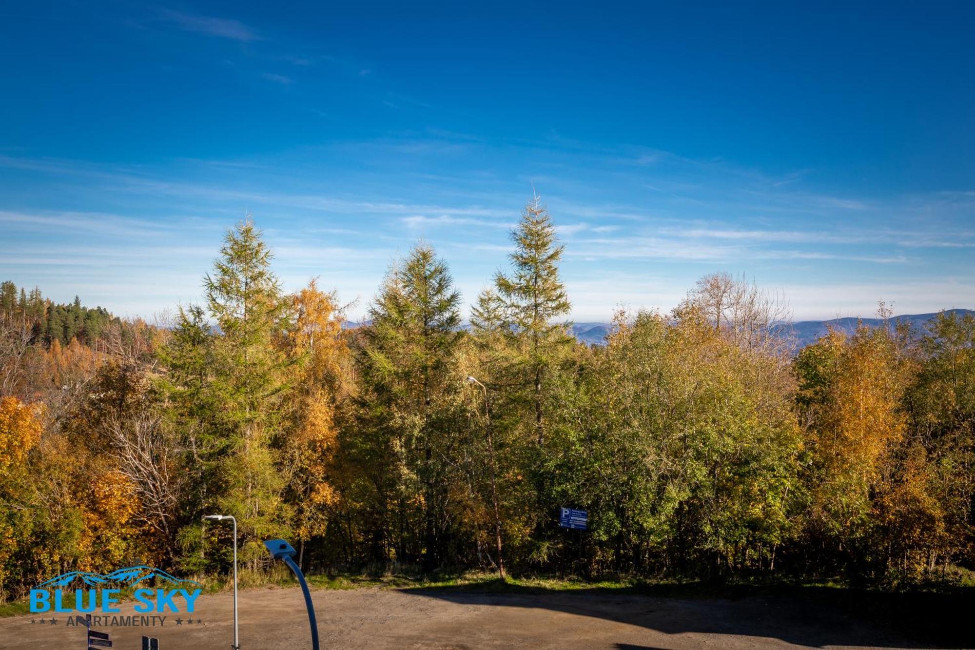 Apartamenty Bluesky - Karkonoska 13, Z Widokiem Na Gory, Blisko Szlakow I Wyciagow, W Zielonej Okolicy カルパッチ 部屋 写真